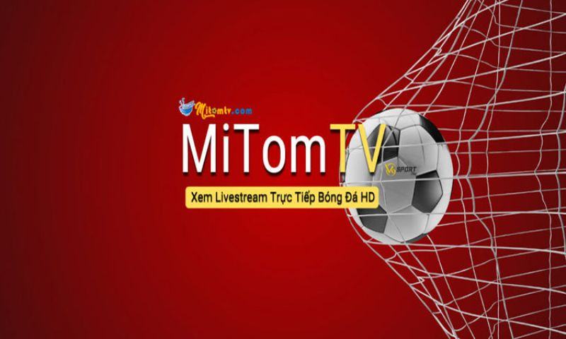Tại sao Mitom TV1 lại nổi tiếng đến vậy?